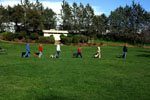 Auburn, Ca. Dog Training